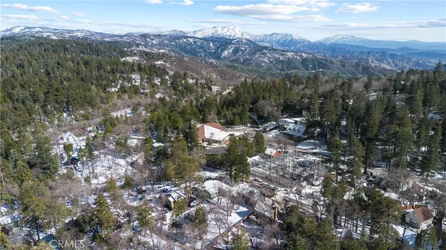 a view of a forest with mountains in the background