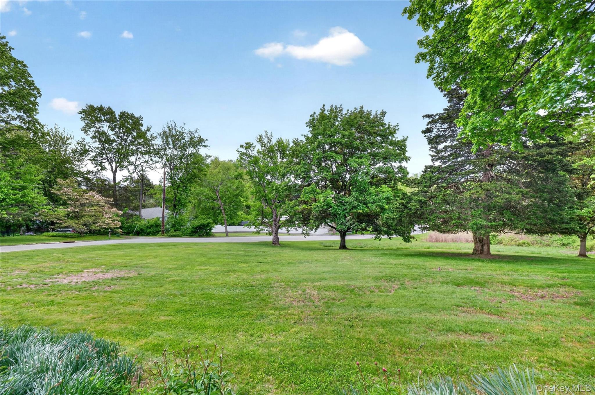 10 Edwin Road Poughkeepsie, NY 12603 - Photo 32 of 46 a big yard with lots of green space and deers