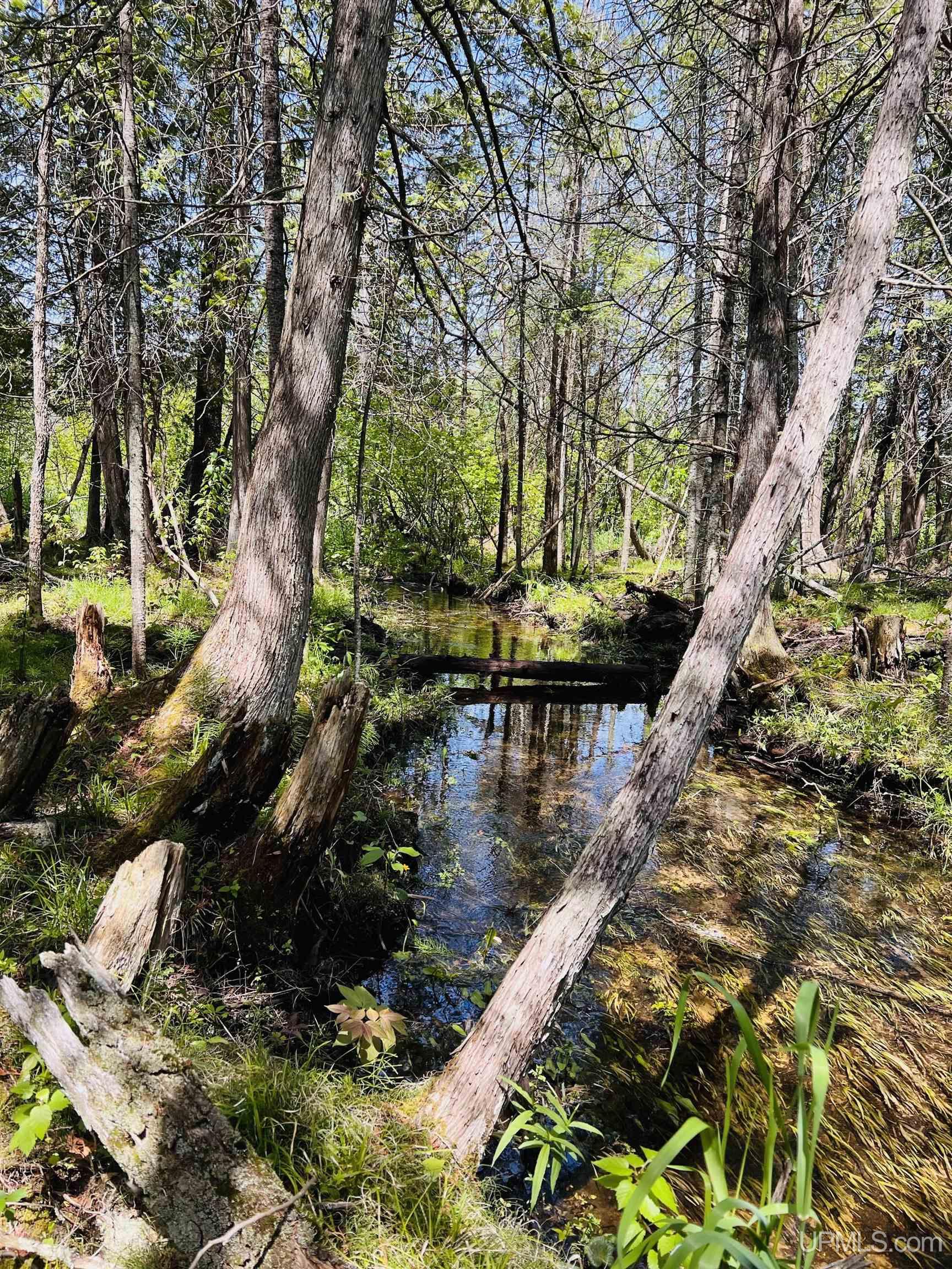 50475 County 426 M.5 Road Felch, MI 49831 - Photo 25 of 27