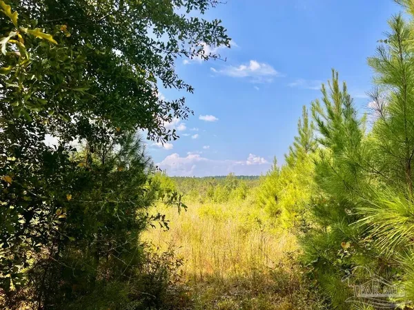 $285,000 | Lot 15 Morgans Branch, Molino, FL 32577