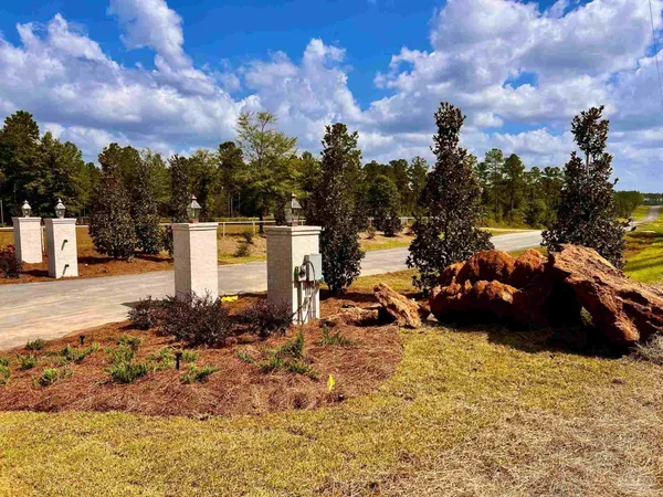 a view of a parking space with lots of trees