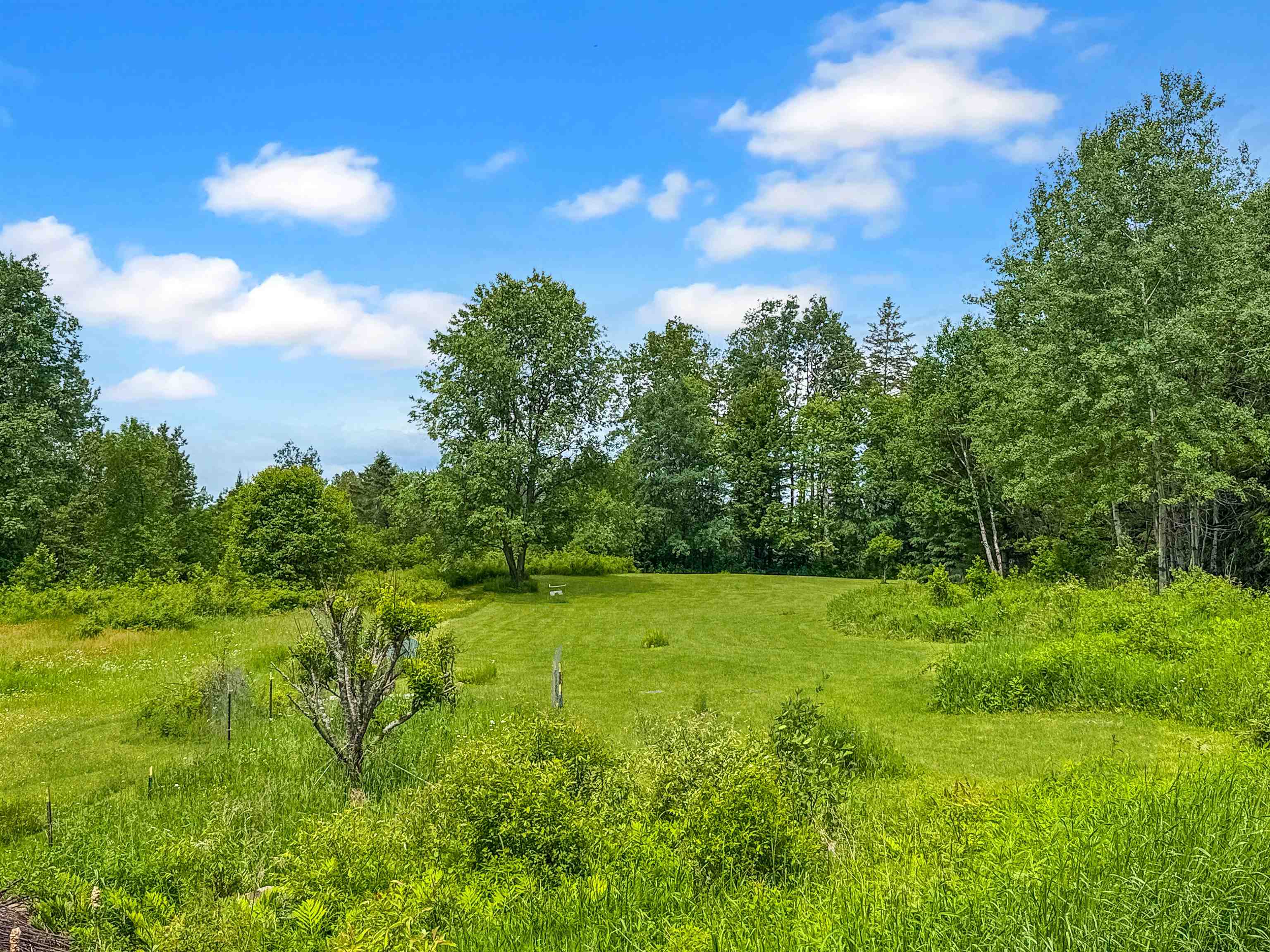 126 Gray Road Columbia, NH 03576 - Photo 55 of 59
