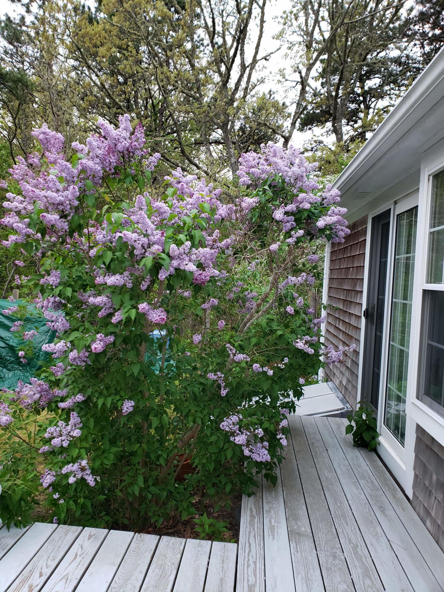 21 Pleasant Bay Rd Extension Harwich, MA 02645 - Photo 19 of 23 received_305150157115595