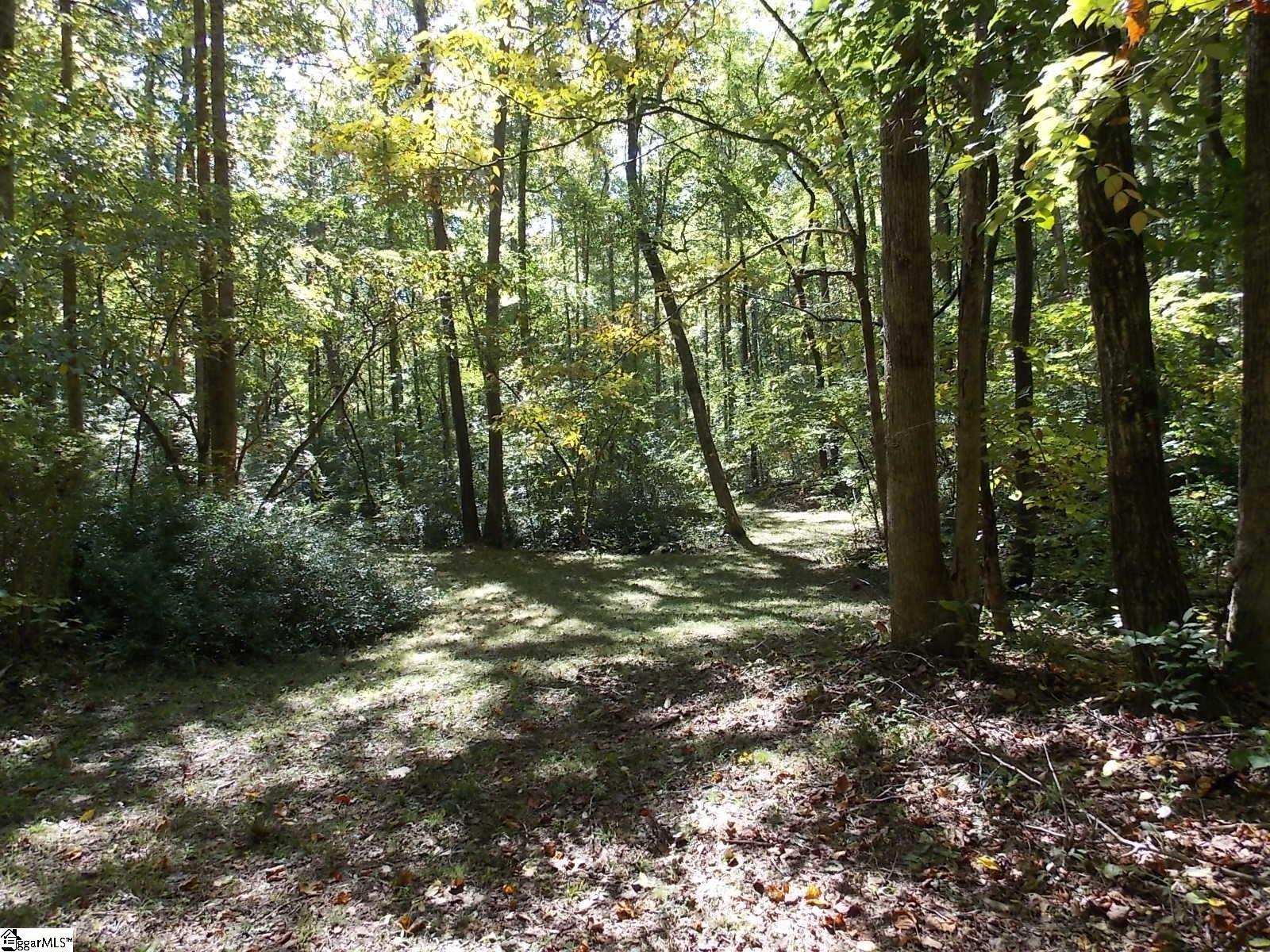 512 Doe Run Pickens, SC 29671 - Photo 46 of 49 Gallery Image 46