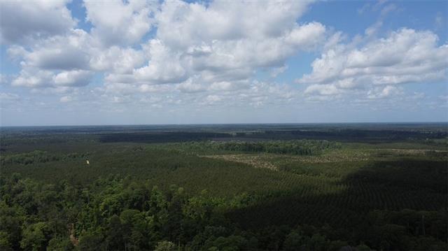 26331 South Satsuma Road Livingston, LA 70754 - Photo 1 of 3