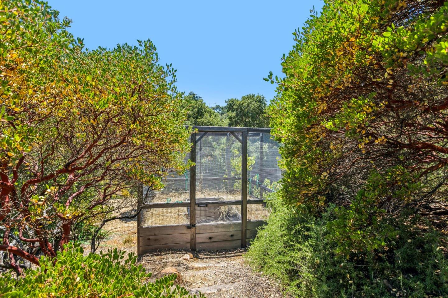 11270 Page Mill Road Los Altos Hills, CA 94022 - Photo 56 of 62