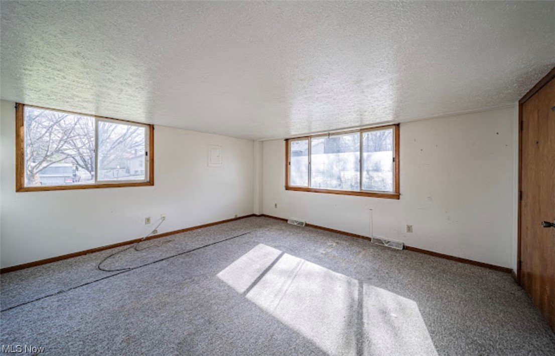 4393 North Ridge Road East Geneva, OH 44041 - Photo 15 of 16