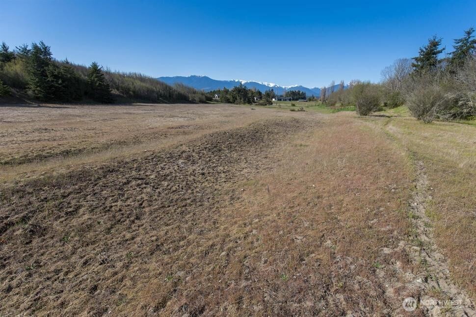 -xxx Roberson Road Sequim, WA 98382 - Photo 13 of 20