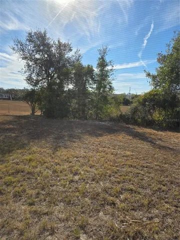 a view of a yard with an trees