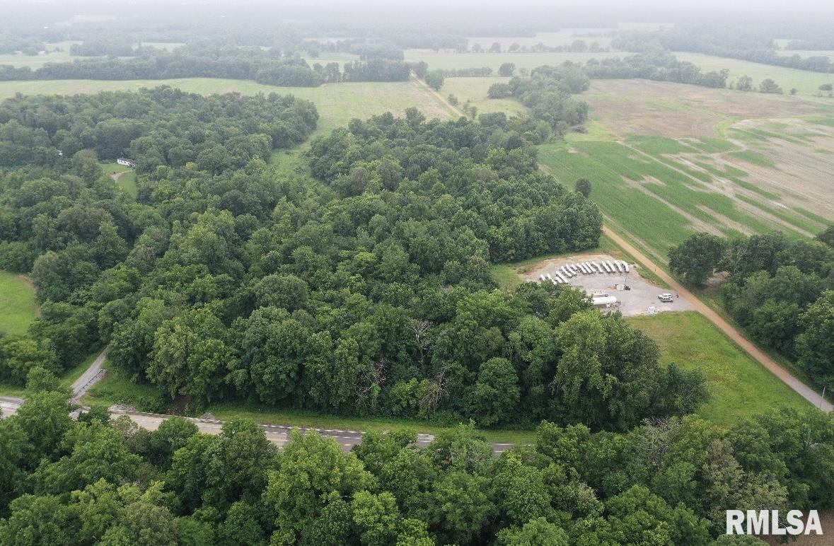 45 South US 45 Road Brookport, IL 62910 - Photo 2 of 2