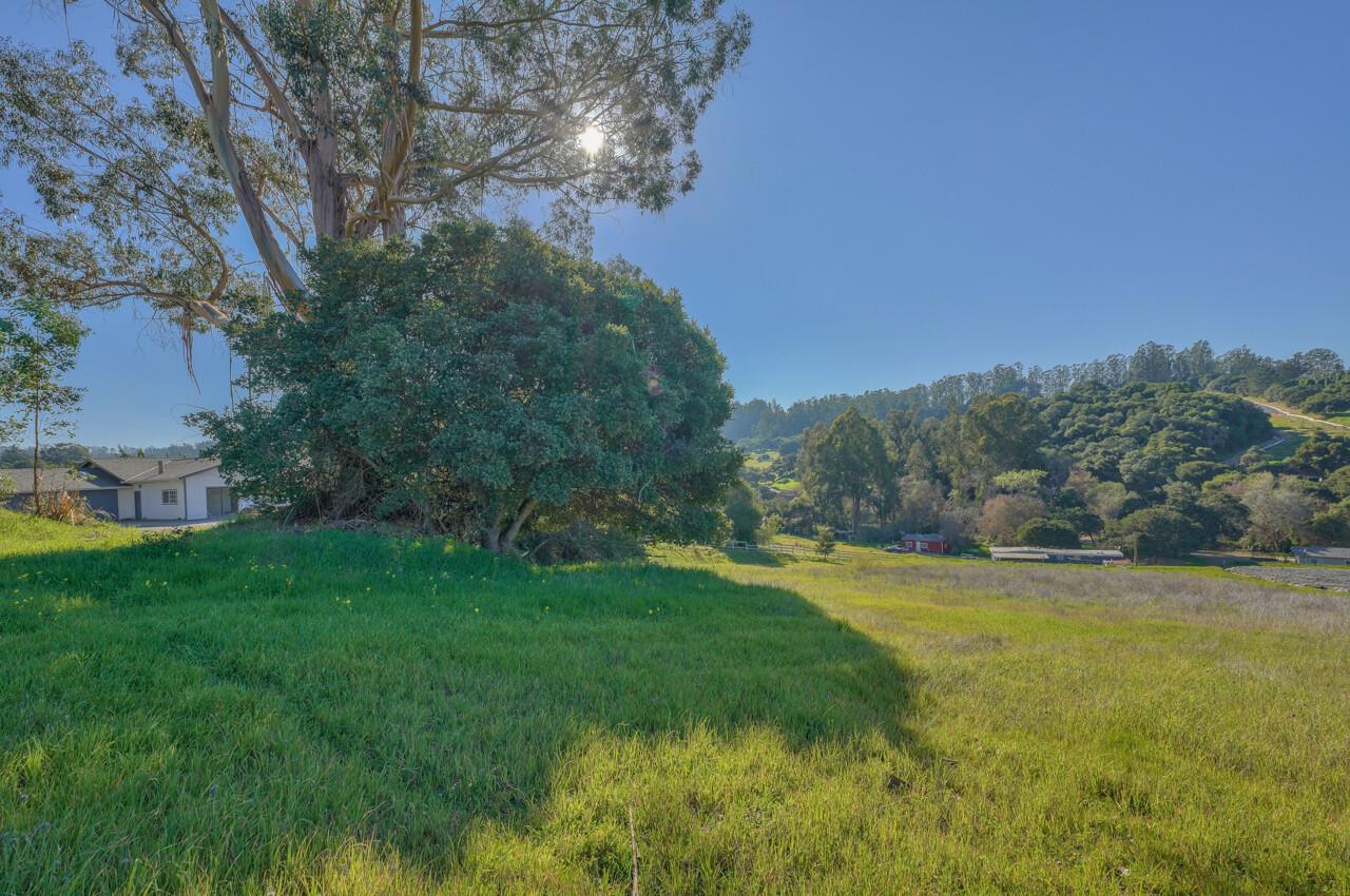 247 Maher Road Watsonville, CA 95076 - Photo 39 of 47 Gallery Image 39