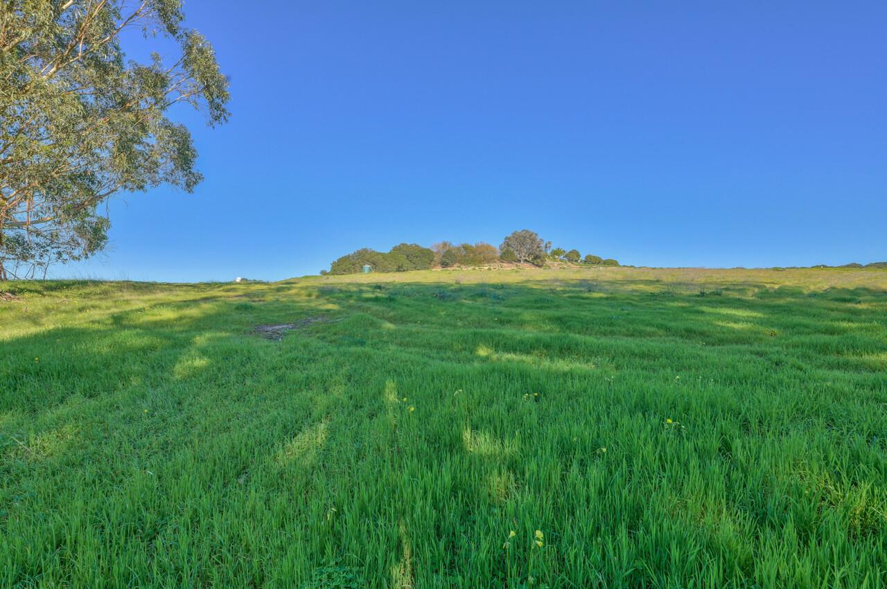 247 Maher Road Watsonville, CA 95076 - Photo 4 of 47 Gallery Image 4