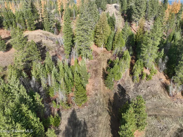 $750,000 | Nka Snowberry Lane, Sandpoint, ID 83864