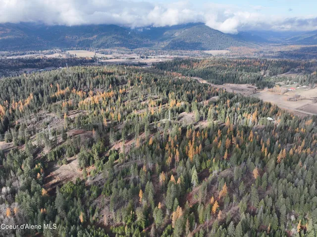 $750,000 | Nka Snowberry Lane, Sandpoint, ID 83864