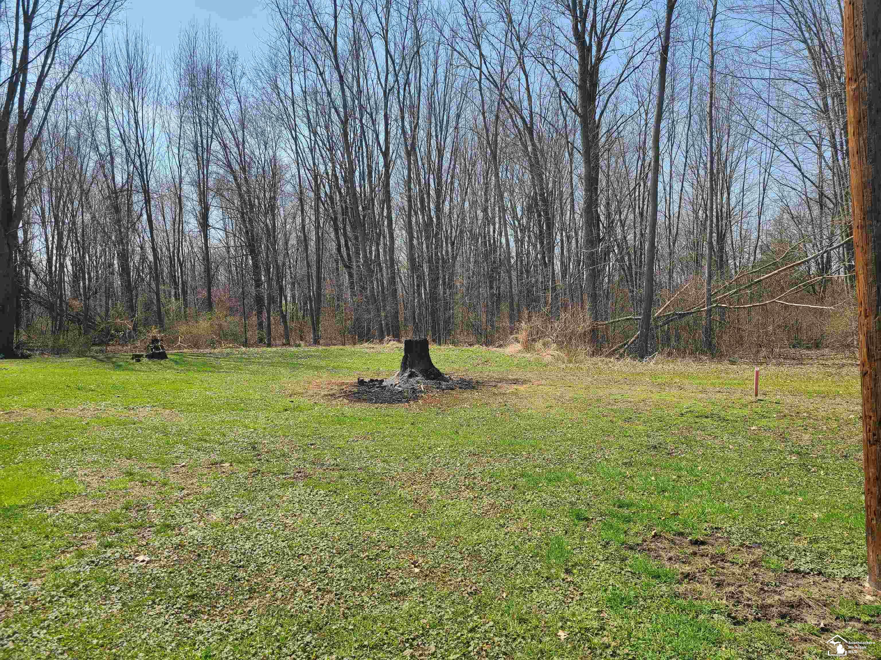 11581 Dixon Road Monroe, MI 48161 - Photo 13 of 41