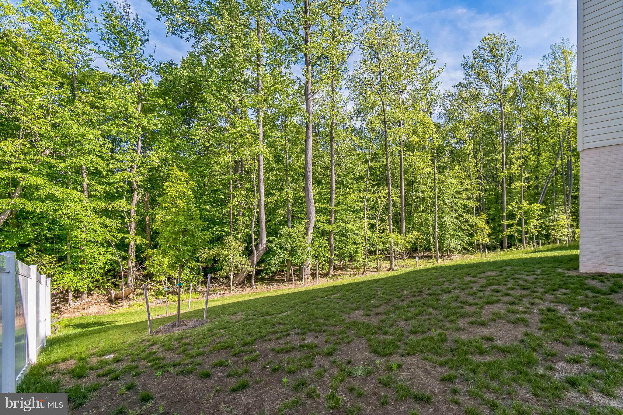 8604 Cedar Chase Drive Clinton, MD 20735 - Photo 57 of 68 a view of yard with green space