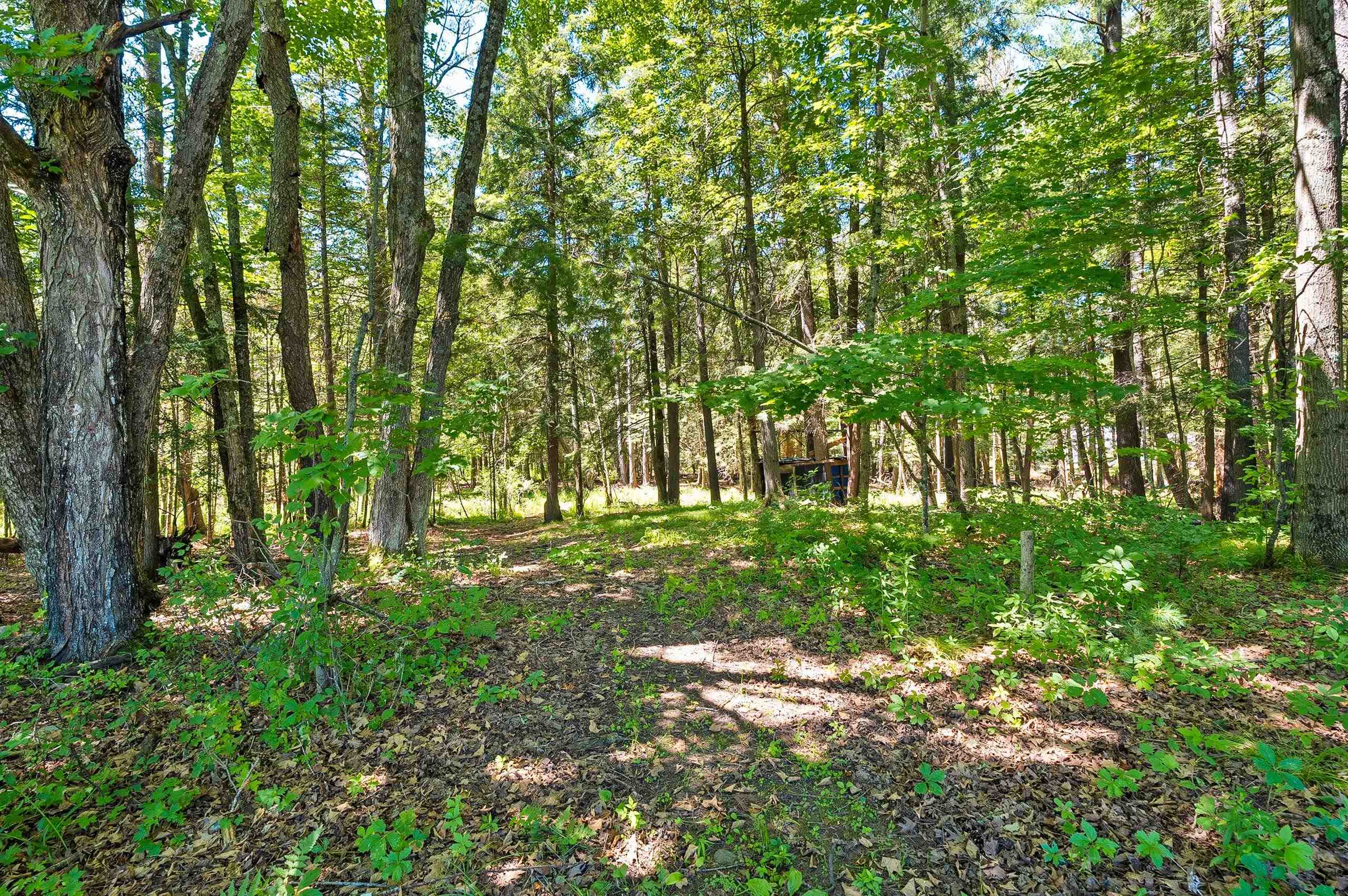 W11639 West Town Hall Road Gresham, WI 54128 - Photo 13 of 32