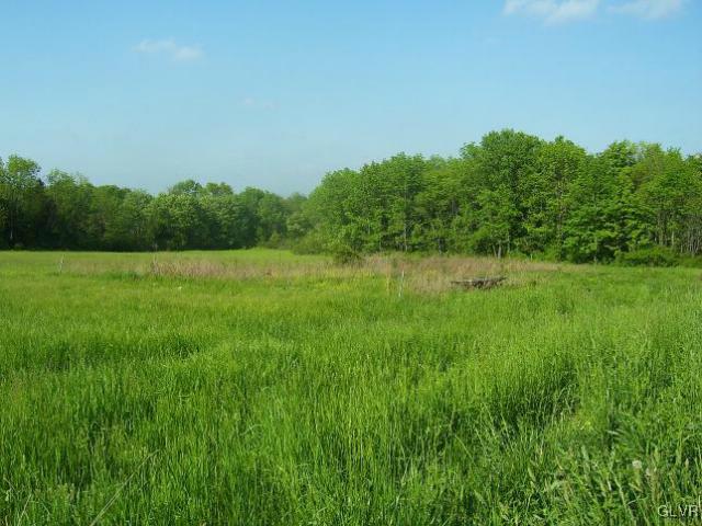 654 Batts Switch Road Pen Argyl, PA 18072 - Photo 2 of 5 Gallery Image 2