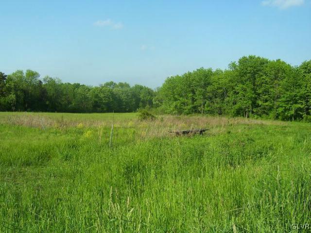 654 Batts Switch Road Pen Argyl, PA 18072 - Photo 3 of 5 Gallery Image 3