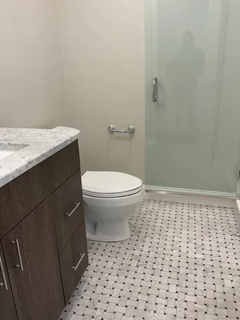 a bathroom with a sink a toilet and a shower