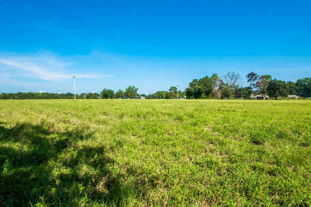 22296 Buck Road Robertsdale, AL 36567 - Photo 4 of 7