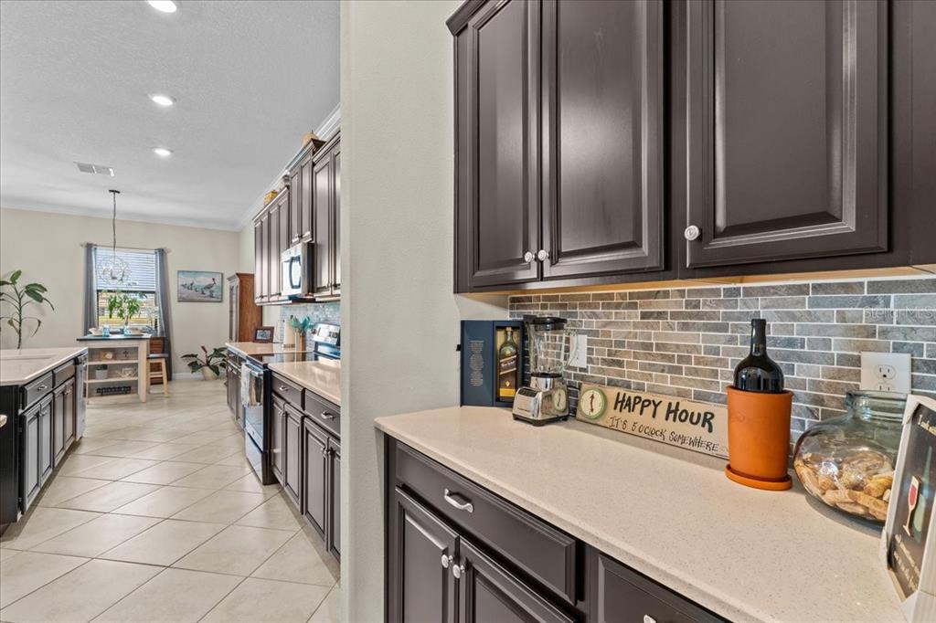 13443 White Sapphire Road Riverview, FL 33579 - Photo 11 of 47 a kitchen with lots of counter top space