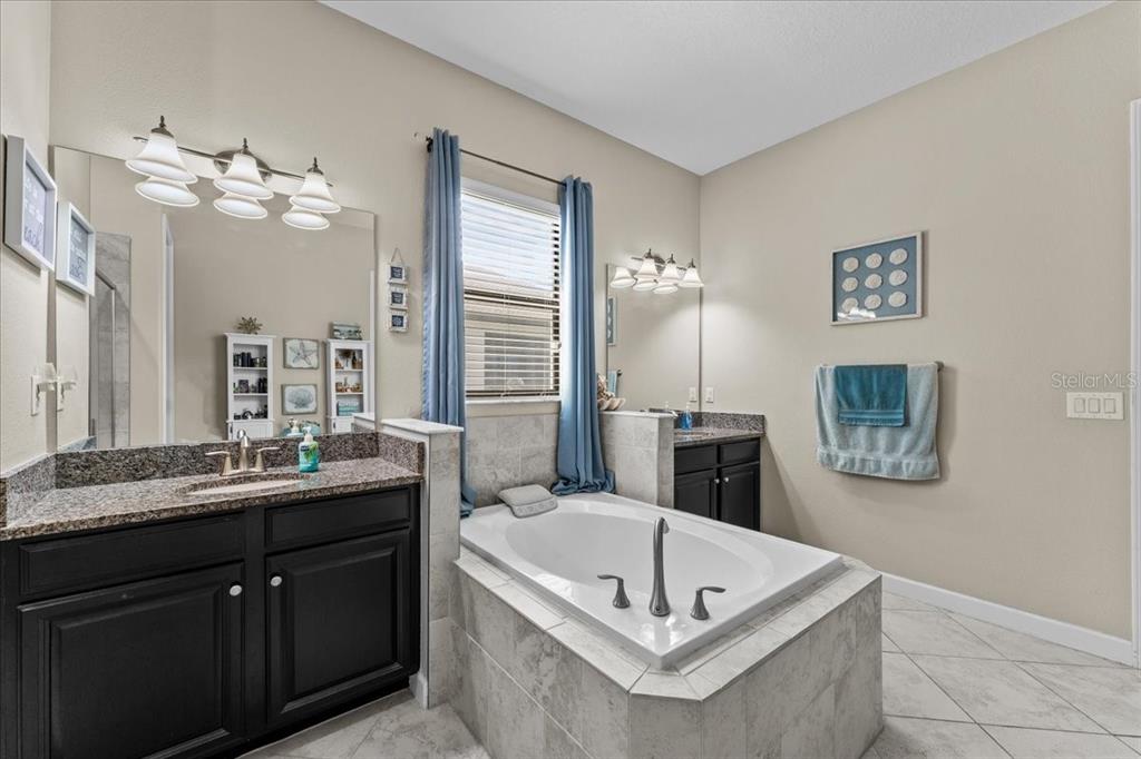 13443 White Sapphire Road Riverview, FL 33579 - Photo 19 of 47 a bathroom with a tub a sink double vanity and a mirror