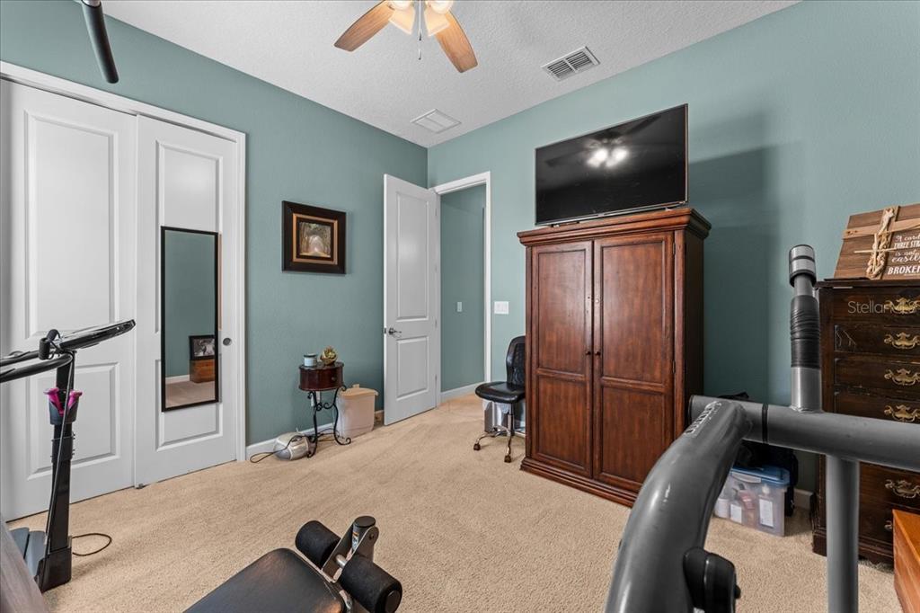 13443 White Sapphire Road Riverview, FL 33579 - Photo 29 of 47 a bedroom with furniture and a flat screen tv