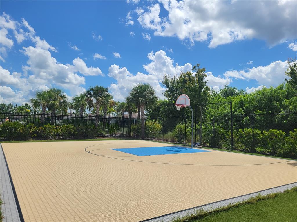 13443 White Sapphire Road Riverview, FL 33579 - Photo 41 of 47 a view of basketball court