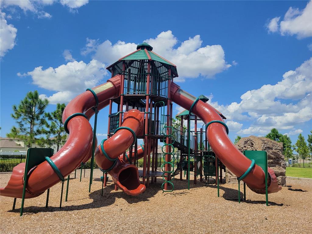 13443 White Sapphire Road Riverview, FL 33579 - Photo 42 of 47