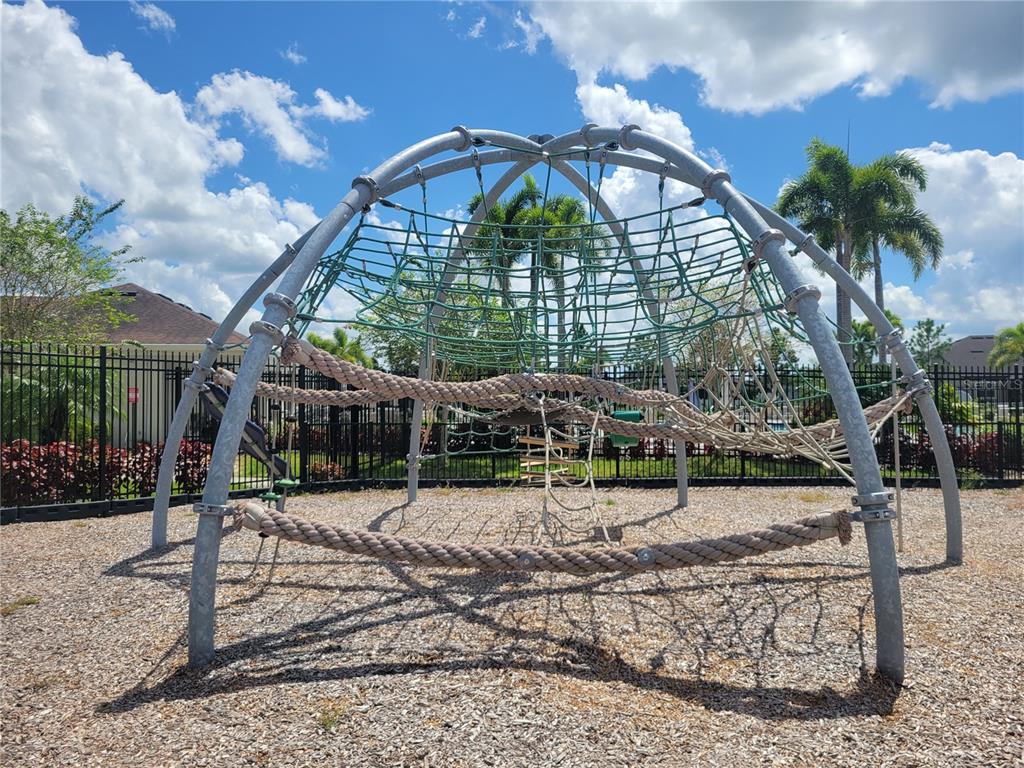 13443 White Sapphire Road Riverview, FL 33579 - Photo 45 of 47 a view of a backyard