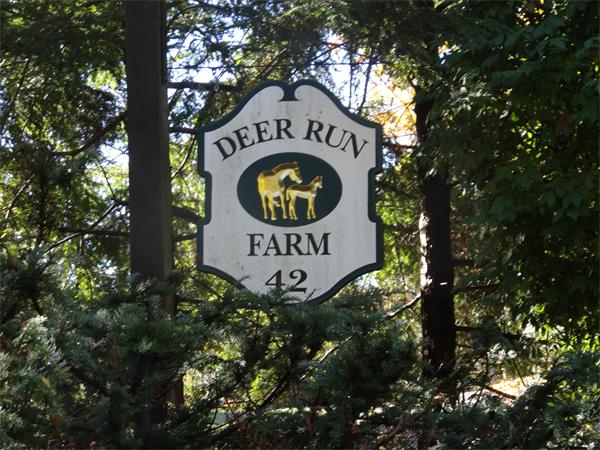 42 Smith Road Sutton, MA 01590 - Photo 2 of 30 a sign that is on a tree