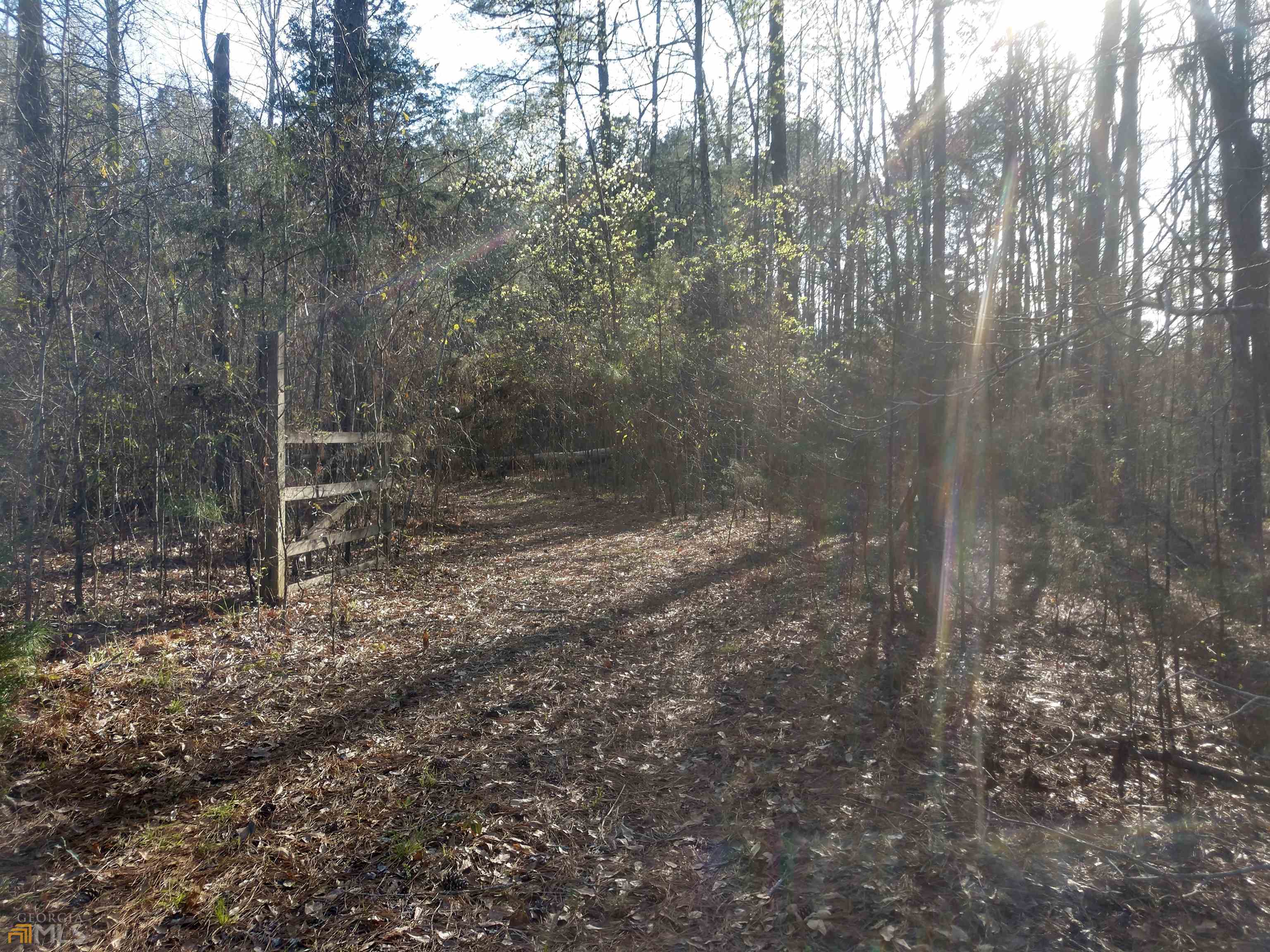 0 Hugh Brown Road Senoia, GA 30276 - Photo 1 of 1 Gallery Image 1