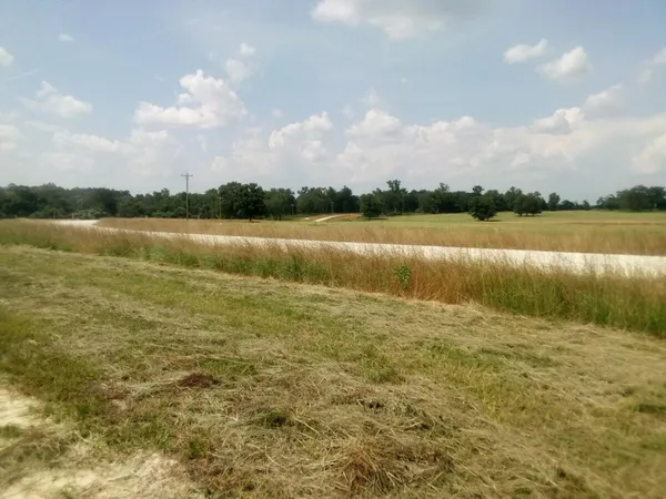 a view of a lake from a yard