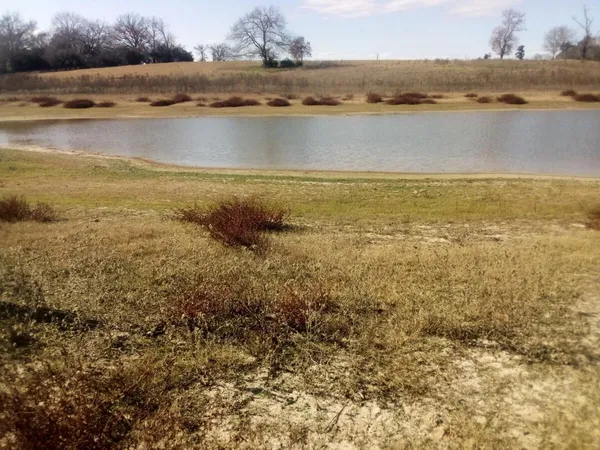 a view of an ocean and beach