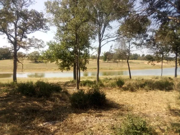 a view of ocean view with trees