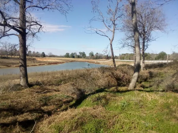 a view of lake with houses
