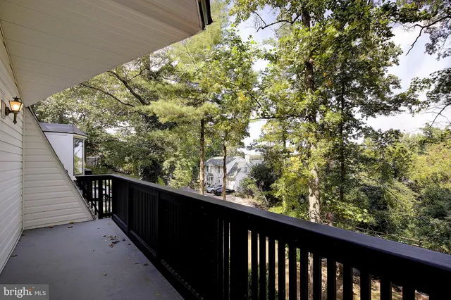 a view of a backyard with plants and lake