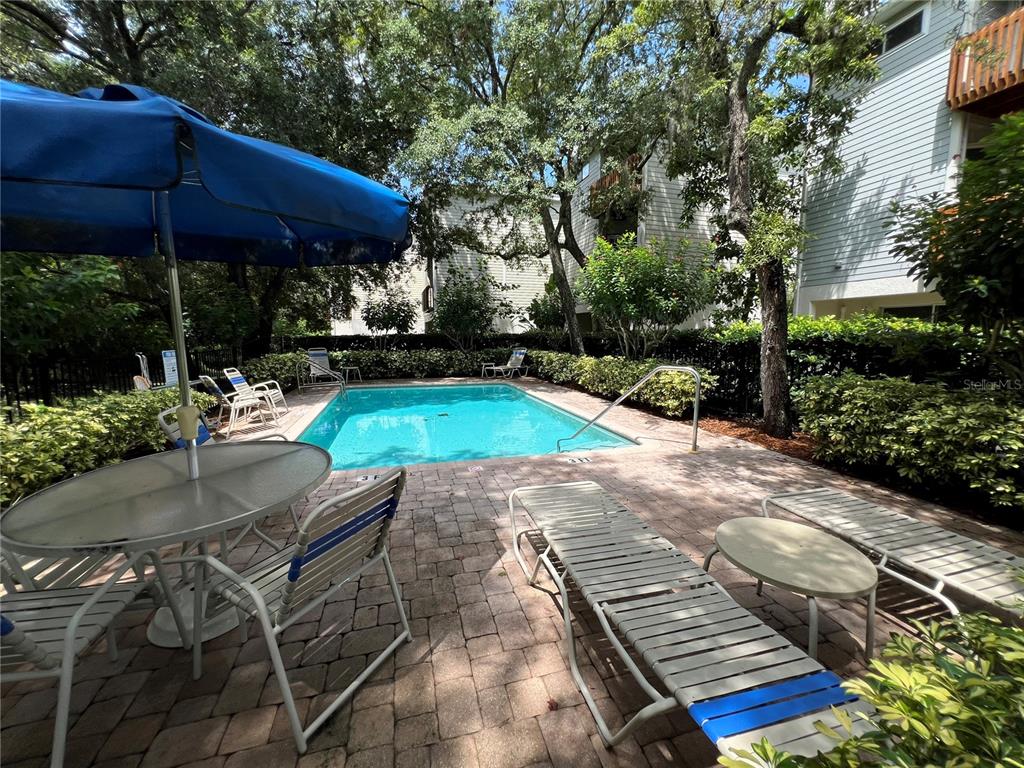 1383 Curlew Road Dunedin, FL 34698 - Photo 51 of 56 Gallery Image 51