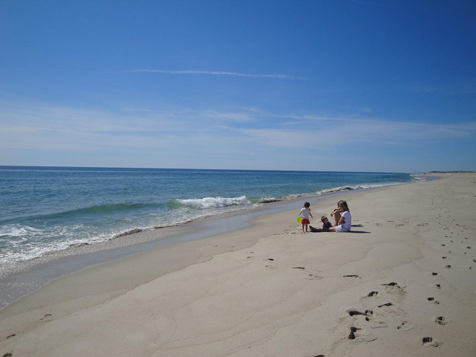65.NAUSET.LITTLE FAMILY