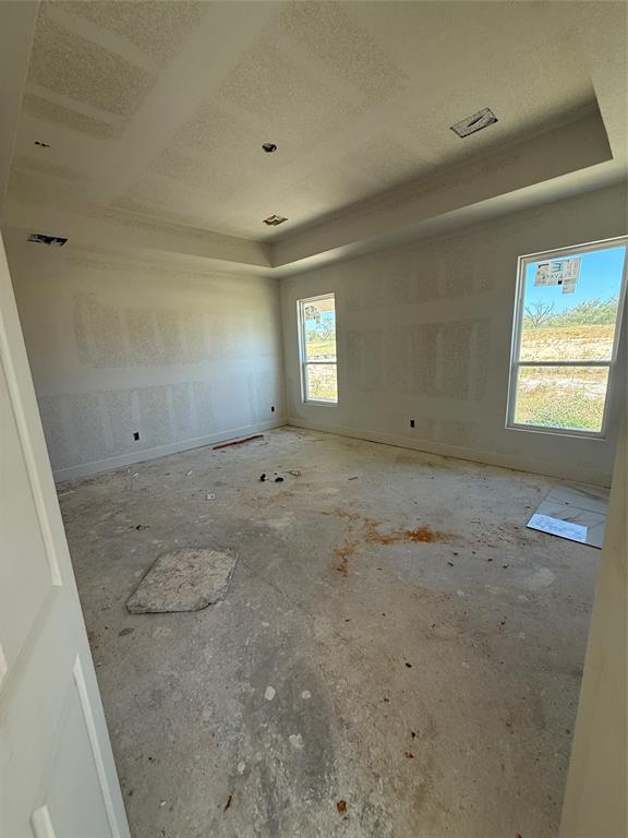 317 Jonny Boy Way Springtown, TX 76082 - Photo 13 of 34 Primary bedroom with tray ceiling