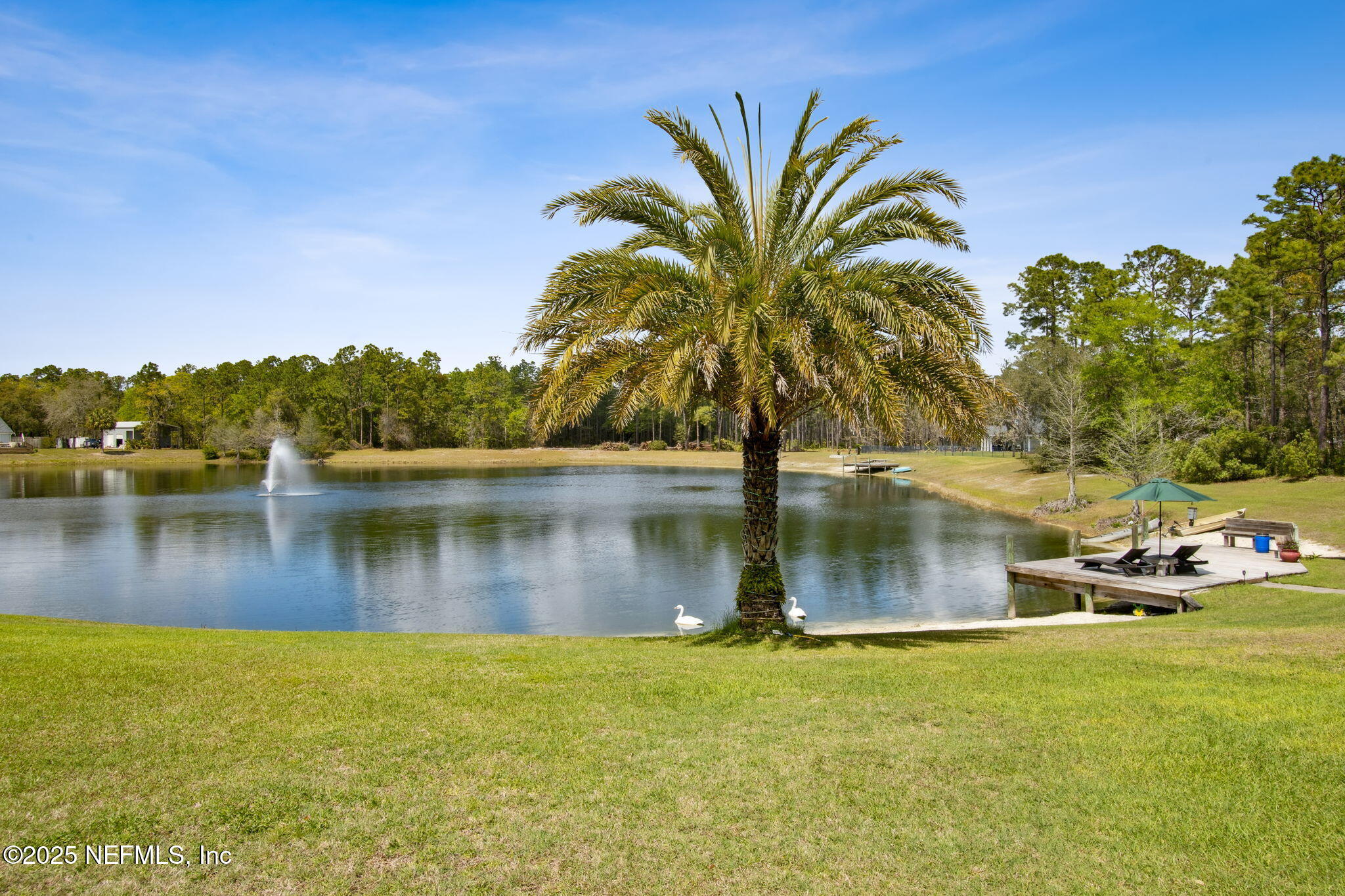 3208 Thunder Road Middleburg, FL 32068 - Photo 61 of 104 60-web-or-mls-3208 Thunder Rd (47 of 68)