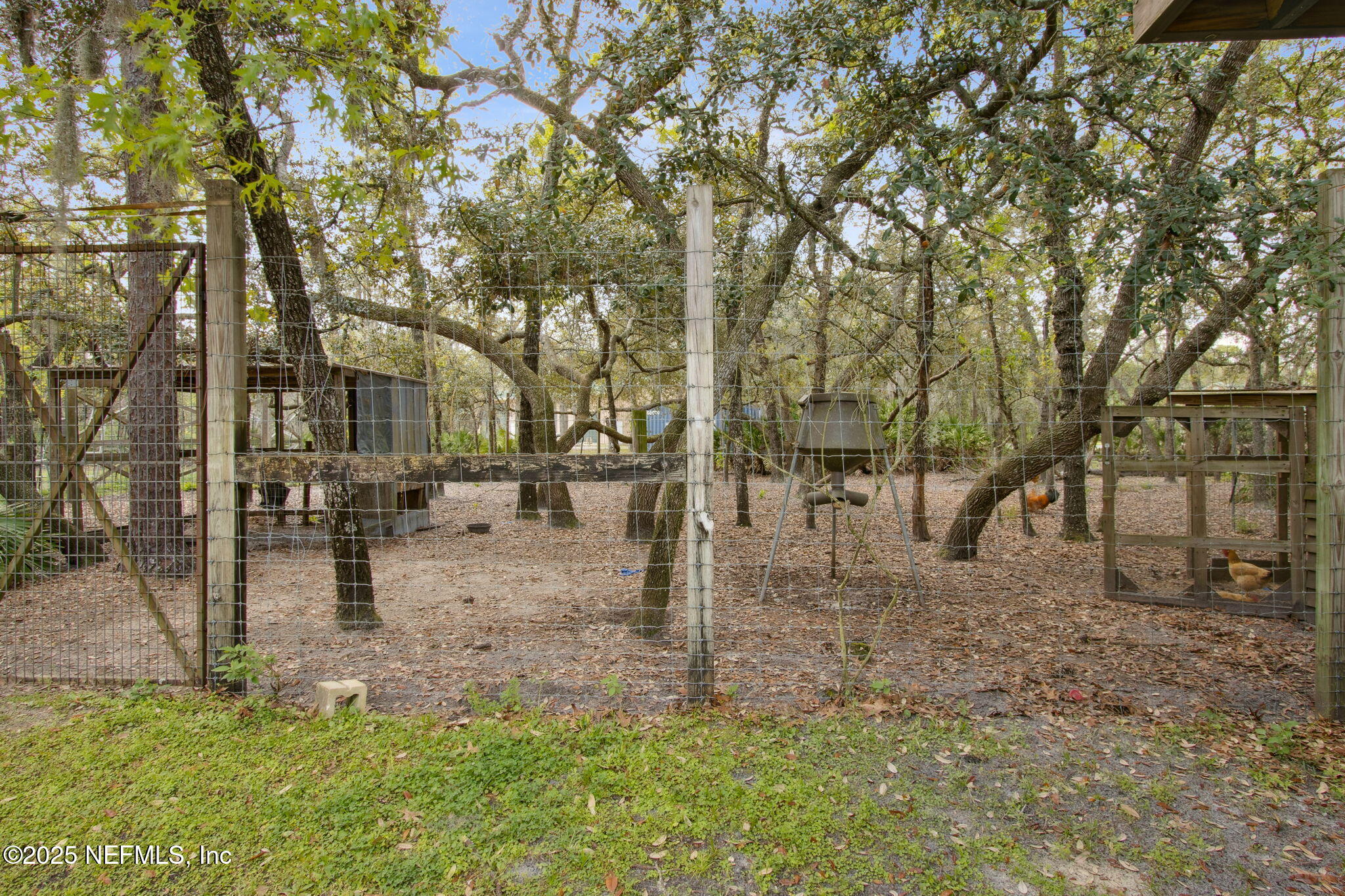 3208 Thunder Road Middleburg, FL 32068 - Photo 67 of 104 66-web-or-mls-3208 Thunder Rd (66 of 68)