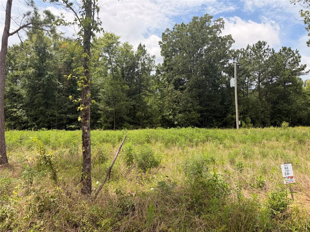 Lot 60 Co Road Piedmont, AL 36272 - Photo 2 of 2