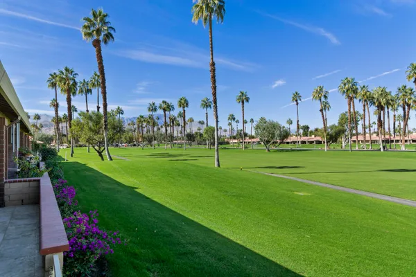 a view of a park with palm trees
