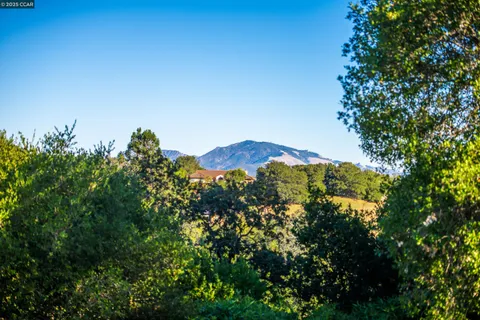 a view of a large building with a tree in the background