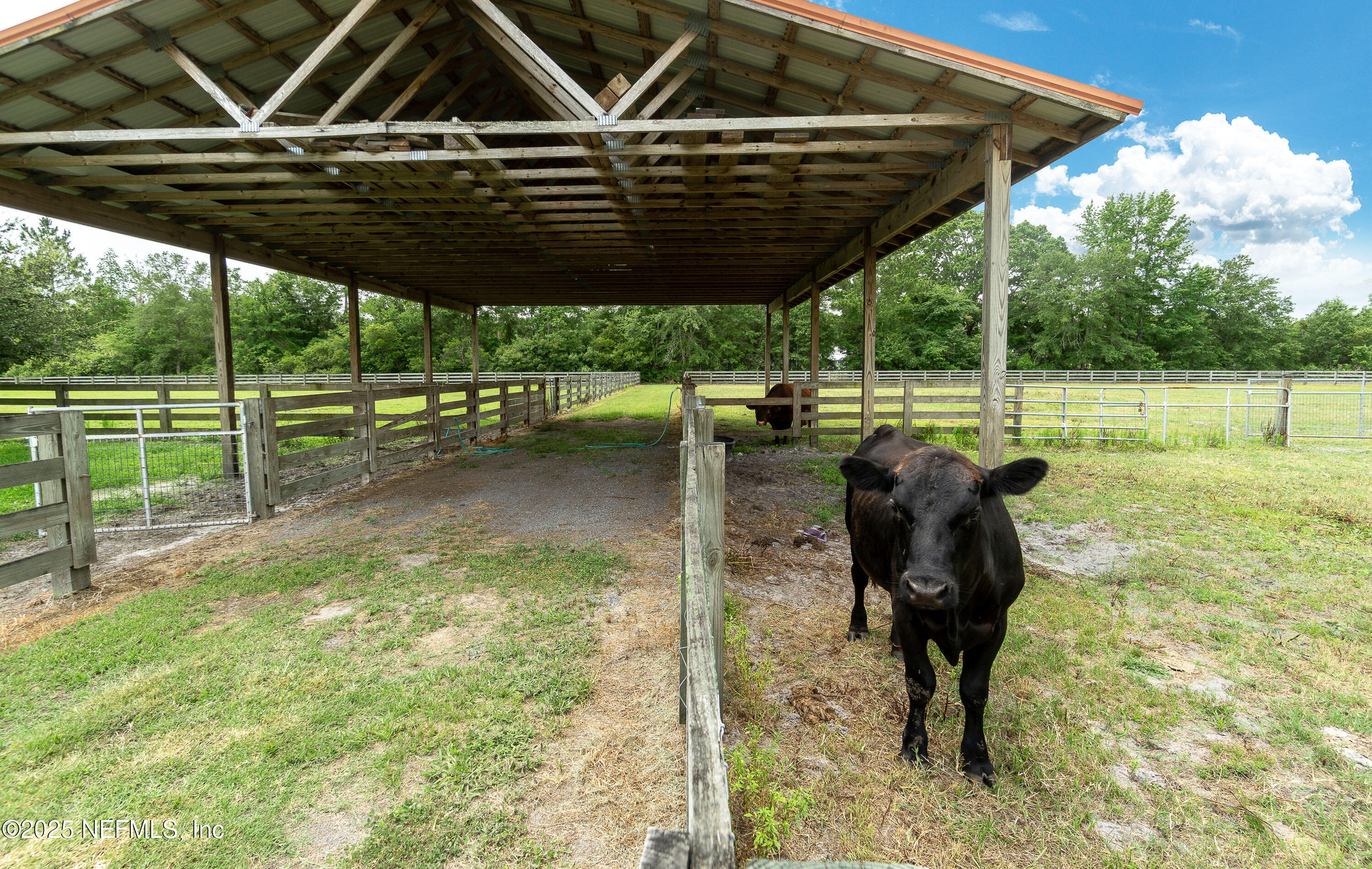 1845 Kinard Road Bryceville, FL 32009 - Photo 73 of 86 Rear Paddock