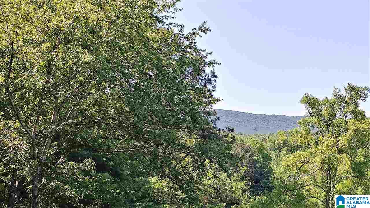 4130 Howells Cove Road Talladega, AL 35160 - Photo 11 of 18
