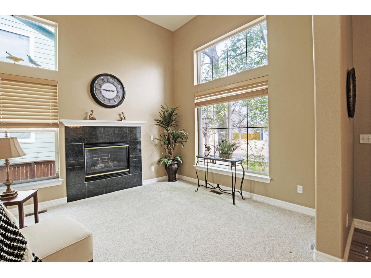 615 Americana Road Longmont, CO 80504 - Photo 7 of 47 Read by the cozy fireplace