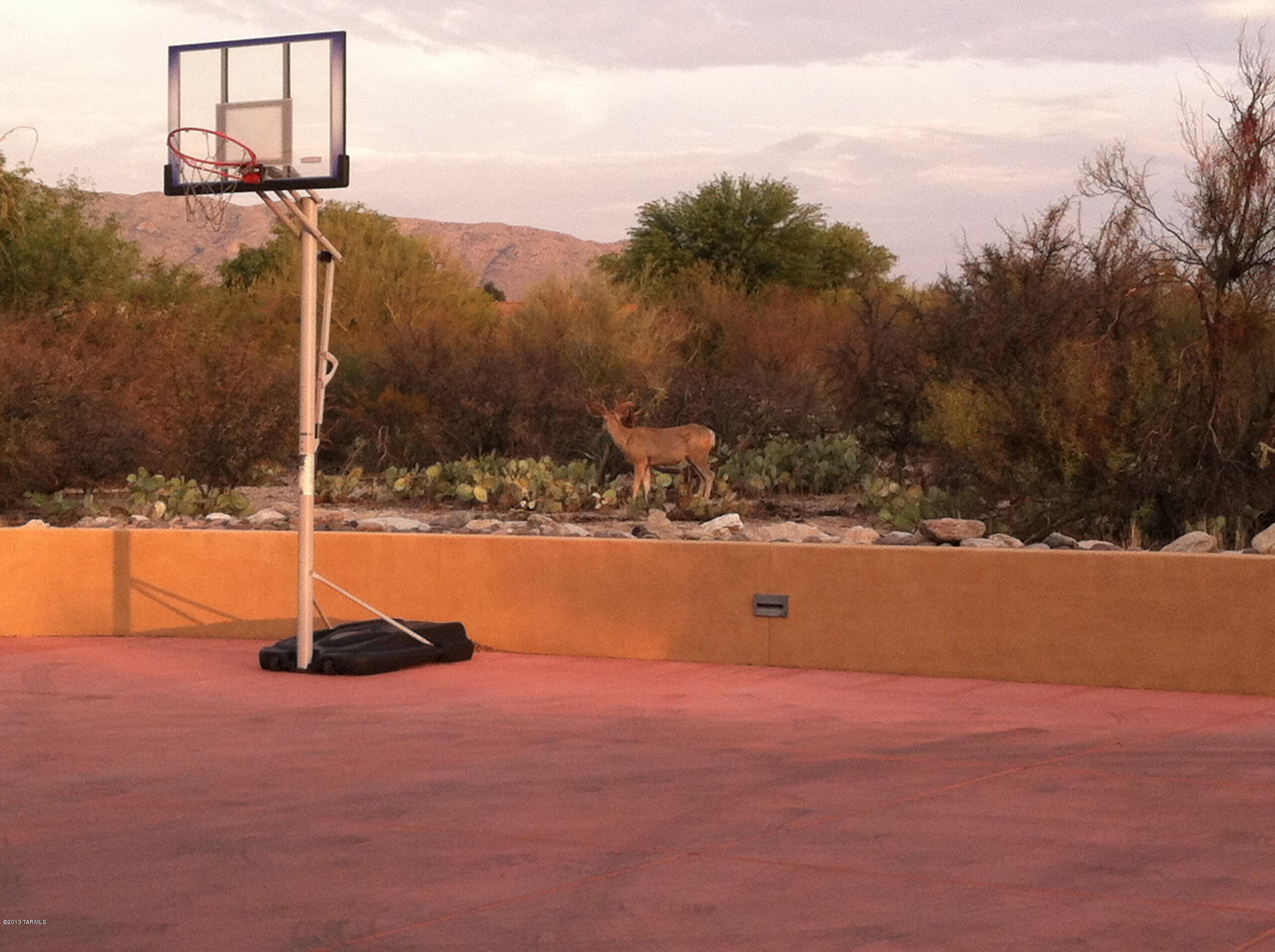 911 North Rancho Del Jefe Loop Tucson, AZ 85748 - Photo 28 of 28 Gallery Image 28